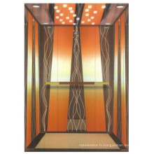 Gold Color Luxury Design Passenger Complete Elevator